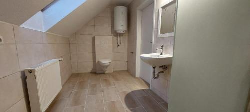 a small bathroom with a sink and a toilet at Pension Pia in Cvikov