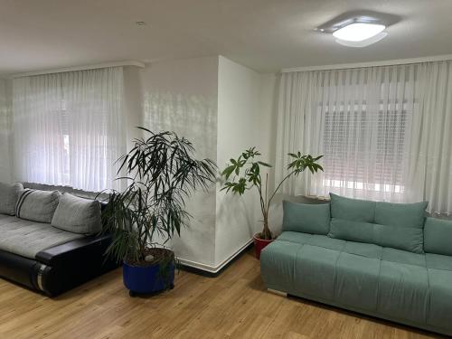 ein Wohnzimmer mit einem Sofa und zwei Topfpflanzen in der Unterkunft Ferienhaus Formidable in Nidderau