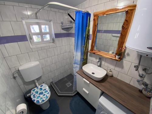 een kleine badkamer met een toilet en een wastafel bij Holiday Home Ruby in Sveti Jakov