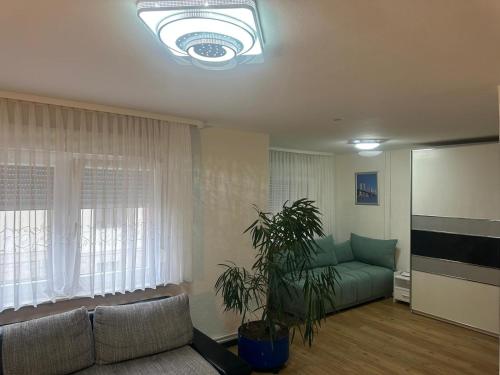 a living room with a couch and a plant at Ferienhaus in einem Wohngebiet bei Frankfurt in Nidderau