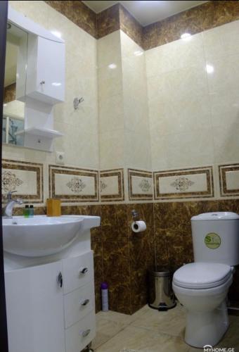 a bathroom with a white toilet and a sink at Ameri Plaza Green Apartments in Tbilisi City