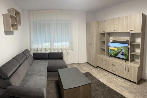 salon z kanapą i telewizorem w obiekcie Bingo Apartman w mieście Cristuru Secuiesc