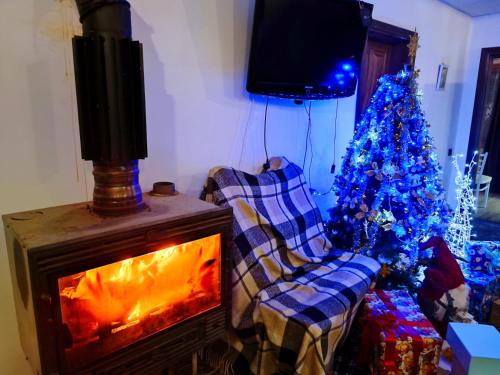 un salon avec un arbre de Noël et une cheminée dans l'établissement У Віталії, à Verkhniy Bystryy