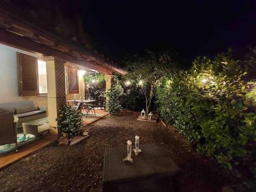 a backyard at night with a table and some bushes at Piccolo Borgo Toscano relax in Monteverdi Marittimo
