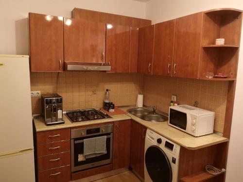 Η κουζίνα ή μικρή κουζίνα στο Apartament Florimont