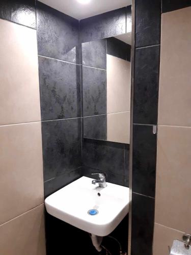 a bathroom with a sink and a mirror at Апартамент Стар стил Old style in Raduil
