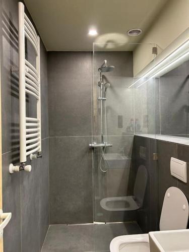 バクリアニにあるstudio apartment for cozy stayのバスルーム(ガラス張りのシャワー、トイレ付)