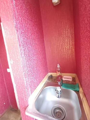 een badkamer met een wastafel in een roze muur bij Дом от владельца с парковой in Tsjerkasi