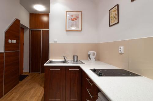 a kitchen with a sink and a counter top at Krynica Apartamenty Apartament typu studio Deptak in Krynica Zdrój