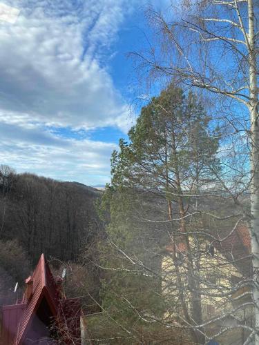 a view of a house with trees and a blue sky at Apartman Breza - Vila Umine Vode in Zlatibor