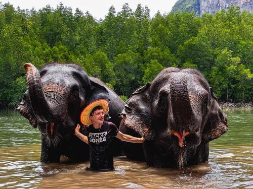 a man standing between two elephants in the water at Ao Luek Homie Homestay in Krabi town