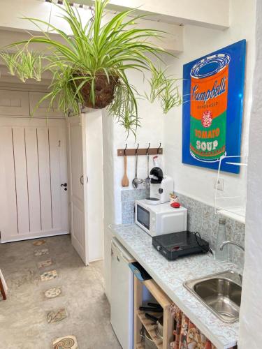 a kitchen with a counter with a microwave and a plant at Casa Kira, Macher in Mácher