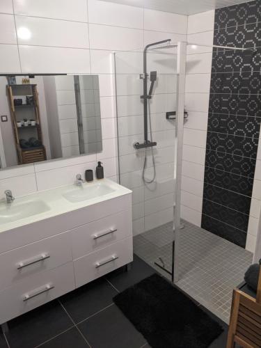 une salle de bain avec une douche, un lavabo et un miroir dans l'établissement GRAND APPARTEMENT COSY DANS MAISON DE CAMPAGNE, à Saint-Pierre