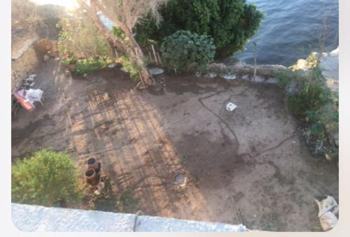 an aerial view of a concrete yard with the water at Shipa's nubian house in Aswan