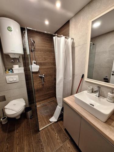 a bathroom with a shower and a toilet and a sink at Apartmani L6 & P90 Milmari Kopaonik in Kopaonik