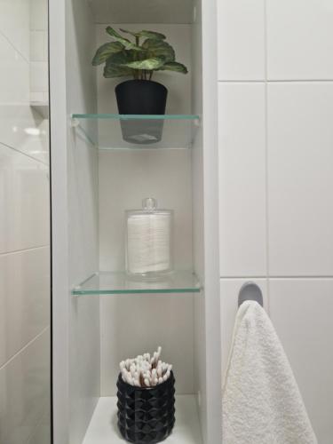 Veludo Apartments Centrum free parking في بانسكا بيستريتسا: حمام مع أرفف زجاجية ونباتات في أصيص