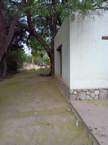 un edificio blanco con un árbol al lado en Cabaña El Paraíso en Tinogasta