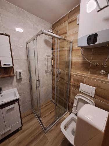 a bathroom with a shower and a toilet and a sink at Apartman Moj mir Jahorina in Jahorina