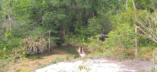 a person standing in a river in a forest at Private Beach Jungle Cabañas in Manacapuru
