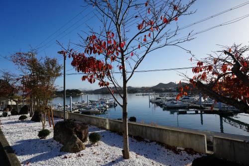 a tree with red leaves on it next to a marina at Kaigaku Onsen Resort Shirahama in Shirahama