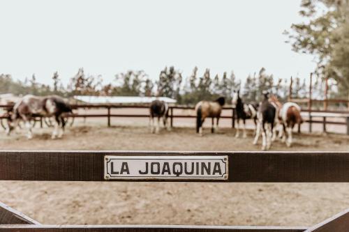 La Joaquina – Photos 2