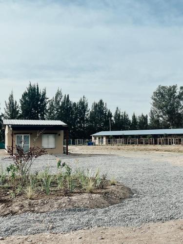 La Joaquina – Photos 3