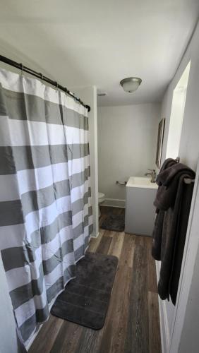 La salle de bains est pourvue d'un rideau de douche et d'un lavabo. dans l'établissement Apartment Retreat, à Roanoke