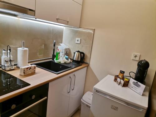 a small kitchen with a counter and a sink at Family Boutique Residence-Free parking in Veliko Tŭrnovo