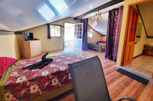 Studio Rava 1 Room Fare Tepua Lodge في أوتوروا: غرفة نوم مع قطة سوداء ملقاة على السرير