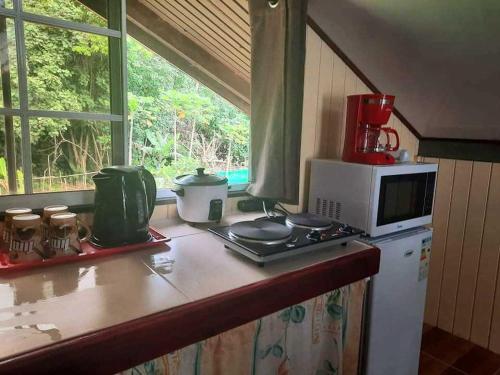 a kitchen with a counter top with a microwave at Studio Rava 1 Room Fare Tepua Lodge in Uturoa