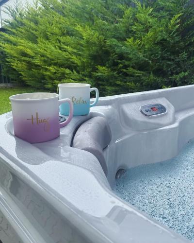 two coffee mugs sitting on a tray in a boat at Secret Garden Vendégház in Pécs