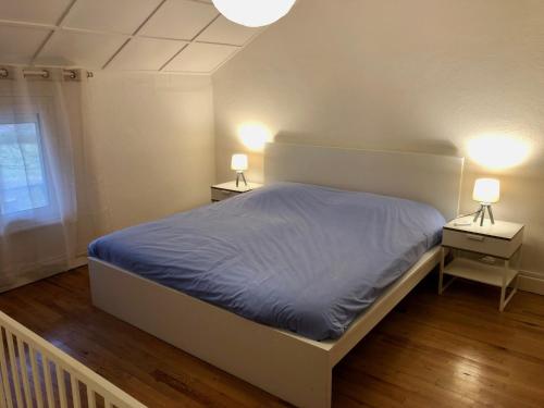ein Schlafzimmer mit einem Bett und zwei Nachttischen mit Lampen in der Unterkunft Gîte les trois pierres, proche de Gérardmer in Liézey