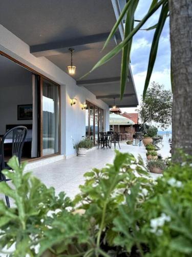 a porch of a house with chairs and plants at Dunavska Vila Milosavljevic in Donji Milanovac