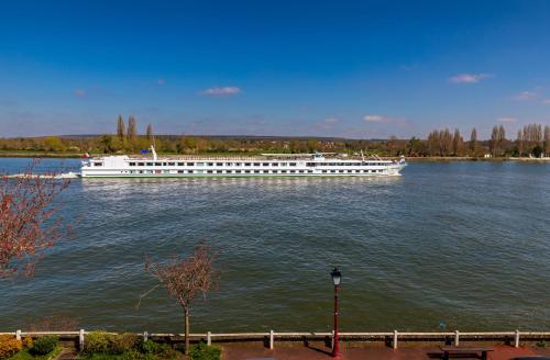 un grand bateau blanc sur une grande étendue d'eau dans l'établissement Maison de ville en bord de Seine à La Bouille, à La Bouille