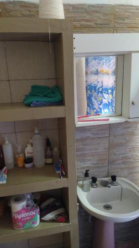 baño con lavabo y estante con fregadero en La casa de valle en Termas de Río Hondo