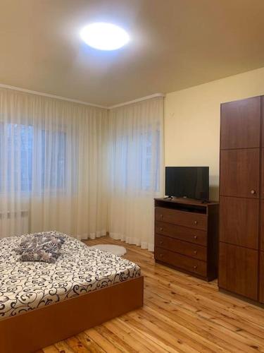 a bedroom with a bed and a dresser and a television at Lena in Sofia