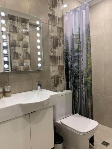 bagno con lavandino, servizi igienici e specchio di Lena a Sofia