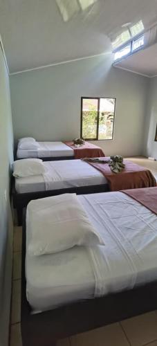 Cabinas Corcovado Green Parrot, Los Planes Drake