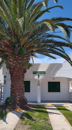 El Esparragal Santa Clara del Mar