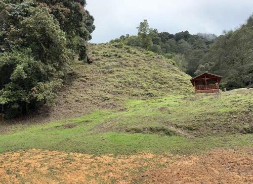un pequeño cobertizo en la cima de una colina con césped y árboles en Chalet Amauleza, en San Gerardo de Dota