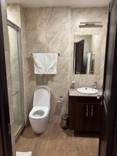 Koupelna v ubytování Beautiful apartment in the center of Yerevan