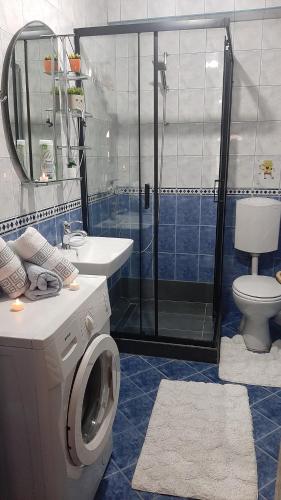 a bathroom with a shower and a washing machine at Apartman Vule in Pale