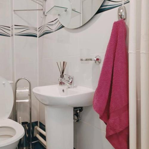 a bathroom with a sink and a pink towel at White home apartment in Banja Luka