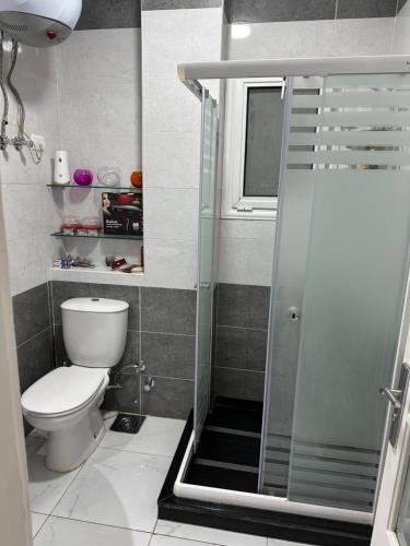 een kleine badkamer met een toilet en een douche bij Flat 01 bed room. Sea Street. Hadaba Area. in Sharm El Sheikh