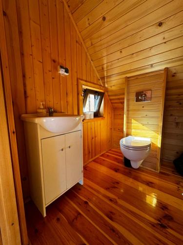 a bathroom with a toilet and a sink in a cabin at Ranczo Targoszów in Targoszów