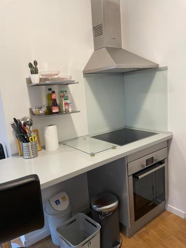 a kitchen with a counter with a sink and a stove at L'appart d'Avignon in Avignon