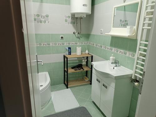 een groene en witte badkamer met een toilet en wastafel bij Apartman Jela in Borča