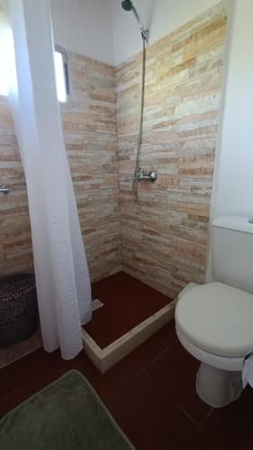 a bathroom with a white toilet and a shower at Adorable microcasa a 4km del centro de Maldonado y de playa mansa, en barrio muy tranquilo! in Maldonado