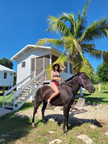 a woman riding a horse in front of a palm tree at Horse Cottage in Sarteneja