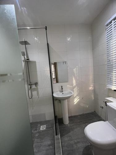 a bathroom with a shower and a sink and a toilet at Oluyole Apartments Ibadan in Ibadan